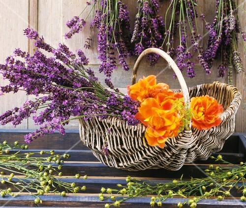 Lavender in basket with roses