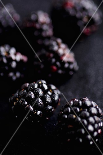 Brombeeren