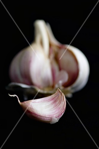 Knoblauchzehe vor Knoblauchknolle
