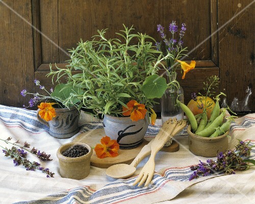 Herb and spice still life