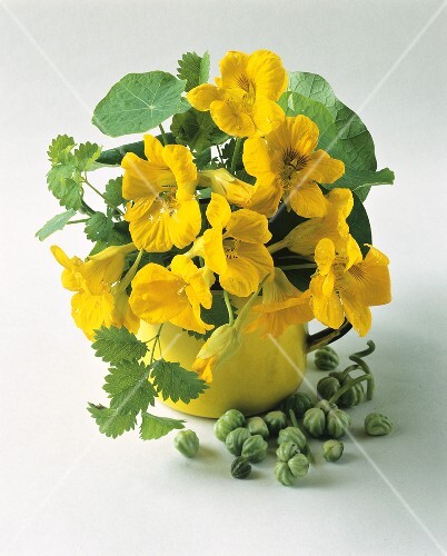 Small arrangement of nasturtiums