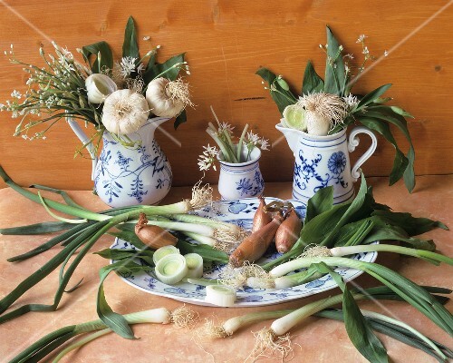 Still life with various members of the onion family