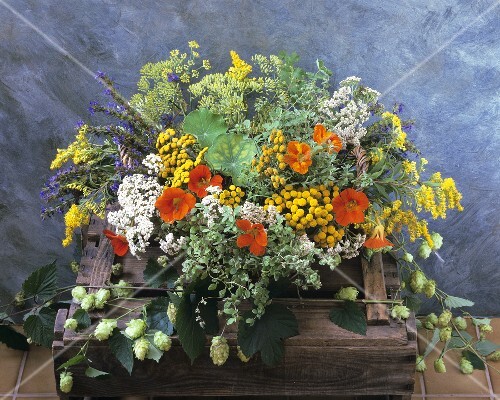 Colourful flower arrangement