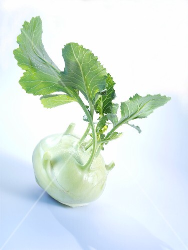 A kohlrabi