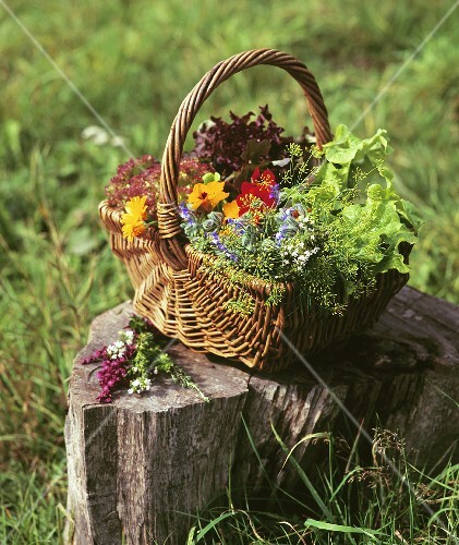 A basket of lettuce and flowers out of doors