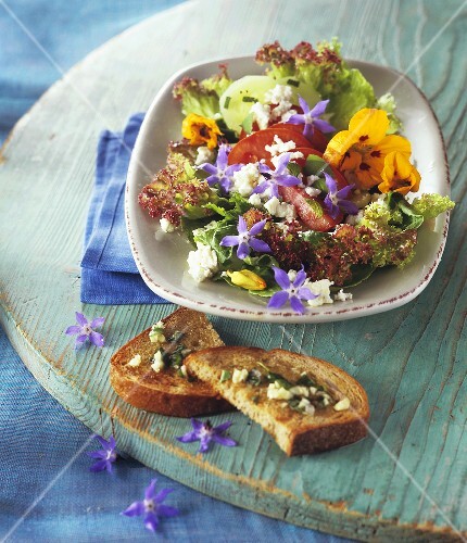 Salad leaves with herbs, edible flowers, sheep's cheese, garlic bread