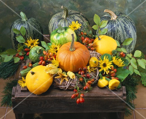 Autumn still life with pumpkins