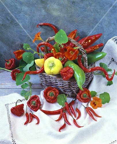 Stilleben mit Paprikaschoten, Chilischote und Kapuzinerkresse