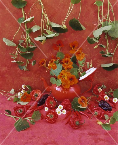 Still life with chillies and nasturtiums