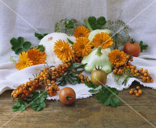Arrangement of sea buckthorn berries, patty pan squashes & marigolds