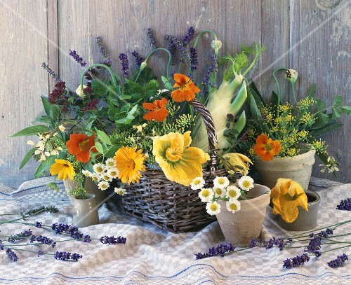 Still life with herbs and flowers