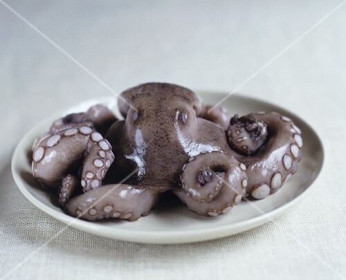 An octopus