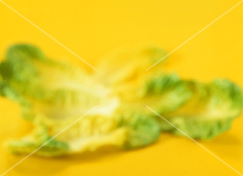 Romaine lettuce leaves on yellow (artistic shot)