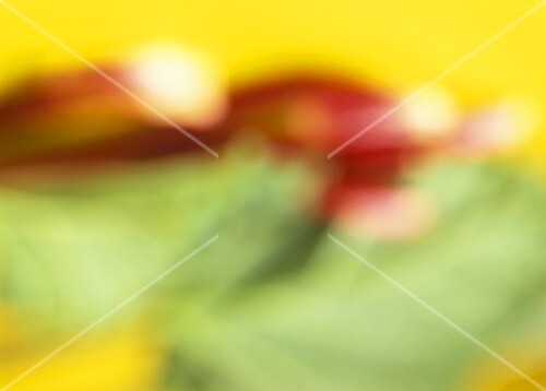 Rhubarb leaves & sticks of rhubarb - artistic interpretation