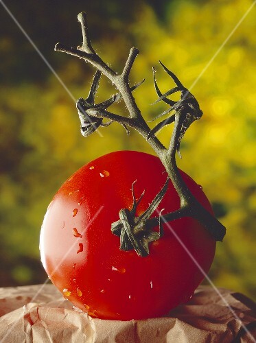 Washed vine tomato on paper
