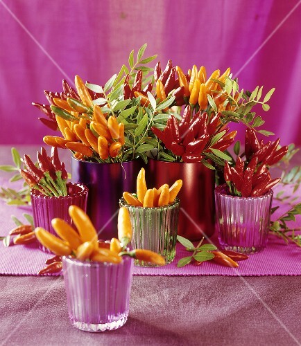 Red and orange chillies in beakers