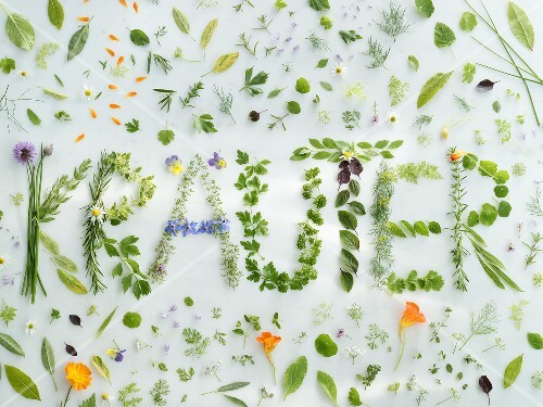 The word 'Kräuter' (Herbs in German) written in herbs
