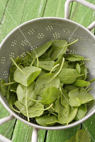 Freshly washed spinach in colander