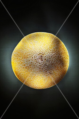 netted melon