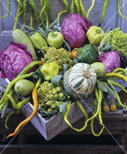 Still life with red cabbage, chillies, peppers and squashes