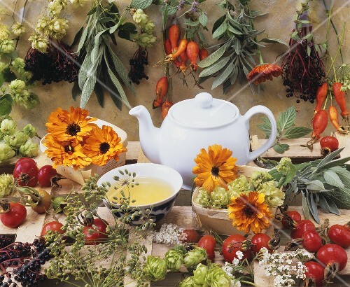 Stilleben mit Tee, Ringelblumen, Salbei und Hagebutten