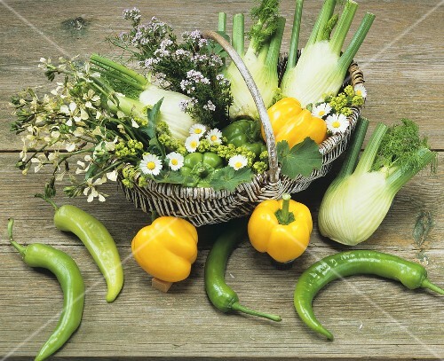 Still life with chillies, peppers and fennel bulbs