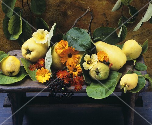 Quinces, marigolds, elderberries, nasturtiums