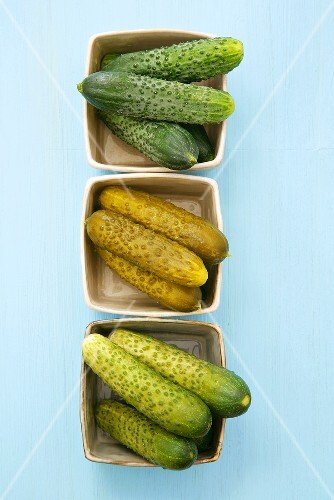 Raw pickling cucumbers, mild and strong pickled gherkins