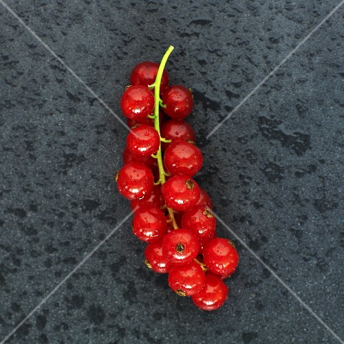 Redcurrants with drops of water