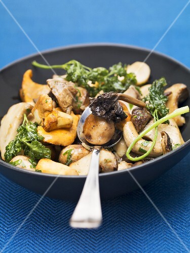 Mixed mushroom stir-fry with deep-fried parsley