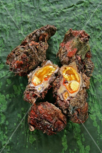 Sea squirt