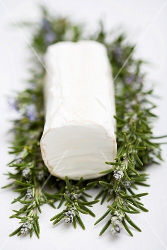 Goat's cheese log on flowering rosemary sprigs