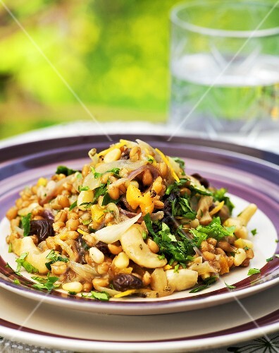 Spelt risotto with fruit and nuts (Iran)