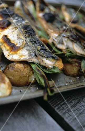 Mackerel and potatoes on a baking tray