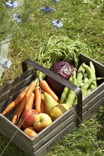 Fresh fruit and vegetables in a wooden basket on grass