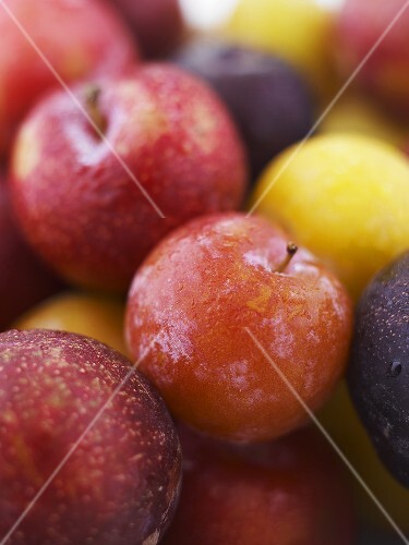 Different types of plums