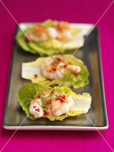 Prawn boats