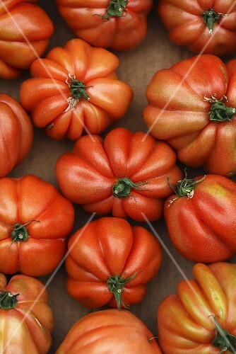 Beefsteak tomatoes from above