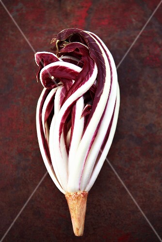 Radicchio