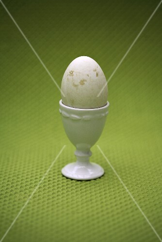 Boiled egg in egg cup
