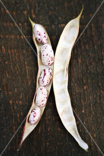 Borlotti beans in pod