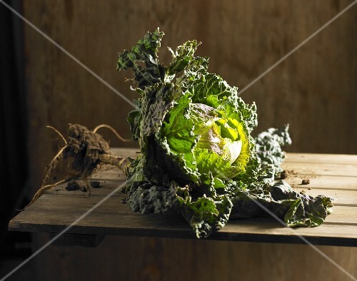 A cabbage with roots