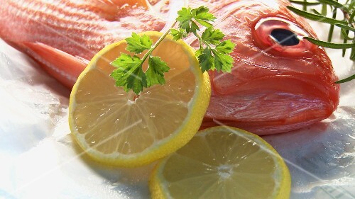Alfonsino with lemon slices and herbs