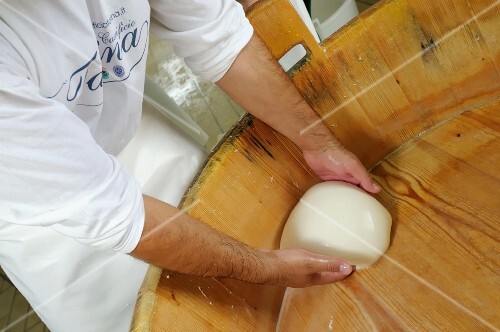 Büffelmozzarella herstellen, Provinz Caserta, Italien