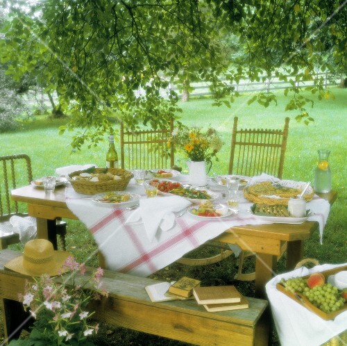 Outdoor Table Setting Under a Tree