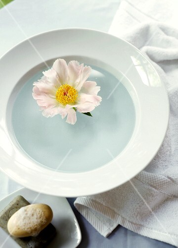 Plate with floating flower, towel and soap beside it