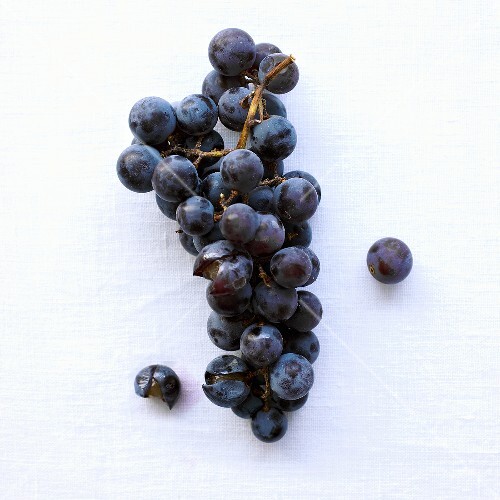 Bunch of Concord Grapes, One Beside Bunch and One Squished
