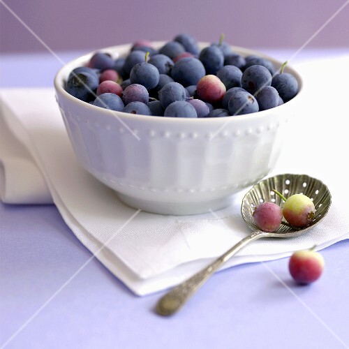 White Bowl of Blueberries with Two on a Spoon