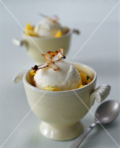 Vanilla Ice Cream