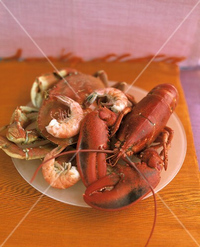 Lobster, Crab and Shrimp